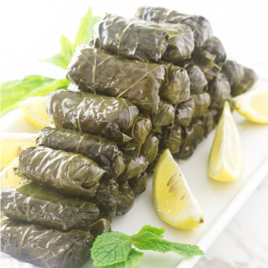 Greek stuffed grape leaves - Recipe photo by Savorthebest