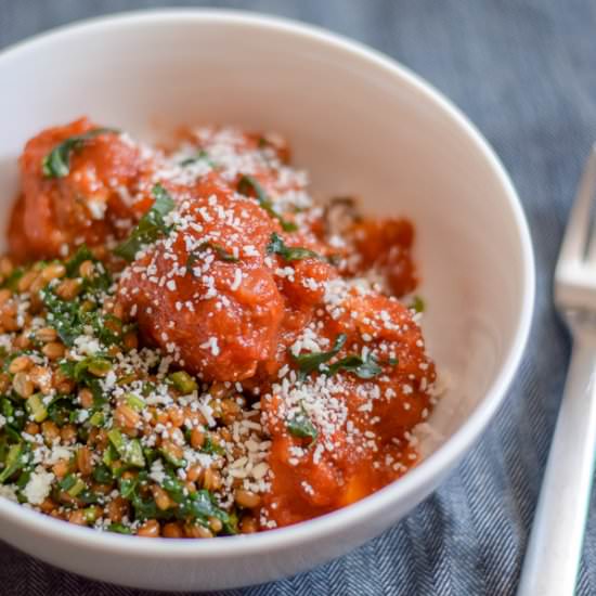 Easy Instant Pot Turkey Meatballs - Recipe photo by forwardeats