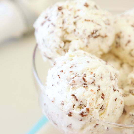 Easy Chocolate Chip Ice Cream - Recipe photo by sisterskneadsweets