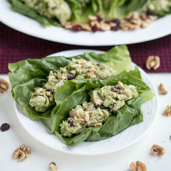 Cranberry Walnut Chicken Salad - Recipe photo by littlebitrecipes