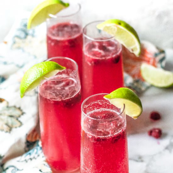 Raspberry ginger fizz - Recipe photo by ltully