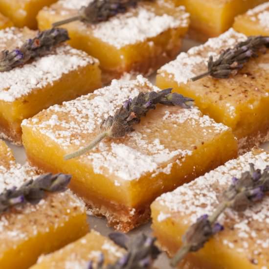 Sunshine Lavender Lemon Bars - Recipe photo by shekeepsalovelyhome
