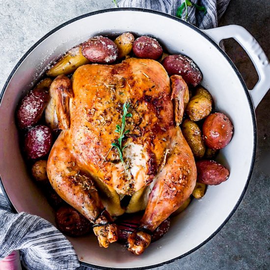 Herb Roasted Chicken - Recipe photo by MunchkinTime