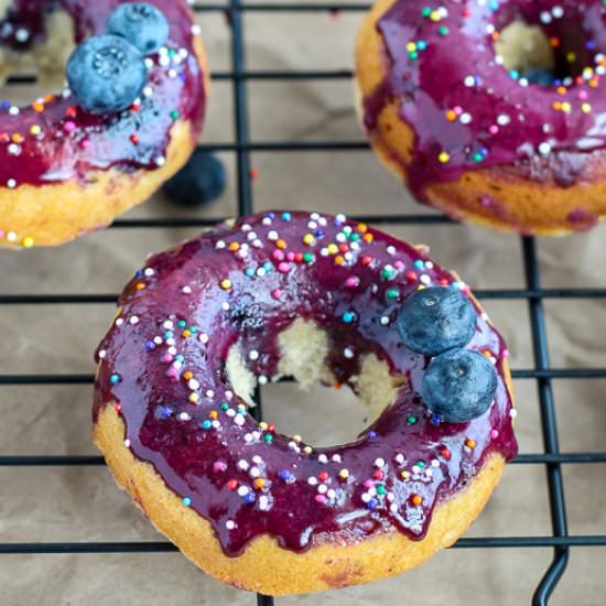 Baked Blueberry Cake Donuts - Recipe photo by SugarSpicesLife