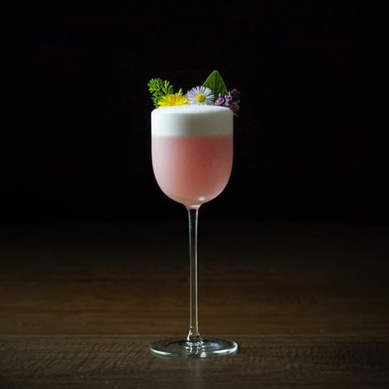 Garden Variety Gin Sour - Recipe photo by moodymixologist
