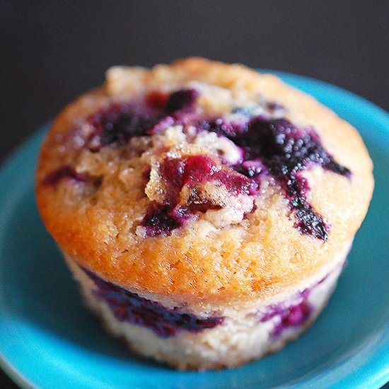 Chocolate milk blueberry muffins - Recipe photo by evabakes