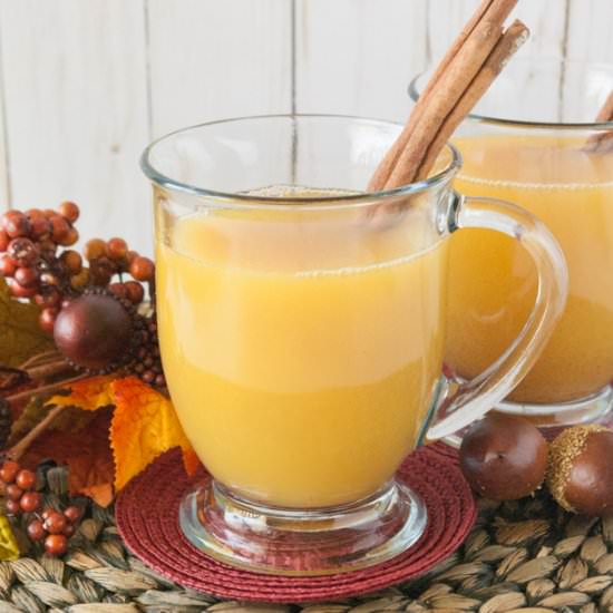 Sore Throat Soothing Hot Cider - Recipe photo by Mindees Cooking Obsession