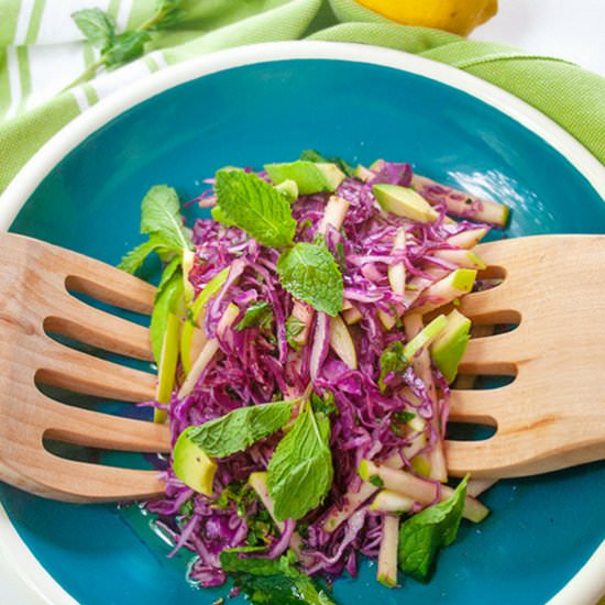 Purple Cabbage, Apple and Mint Slaw - Recipe photo by brightrootskitchen
