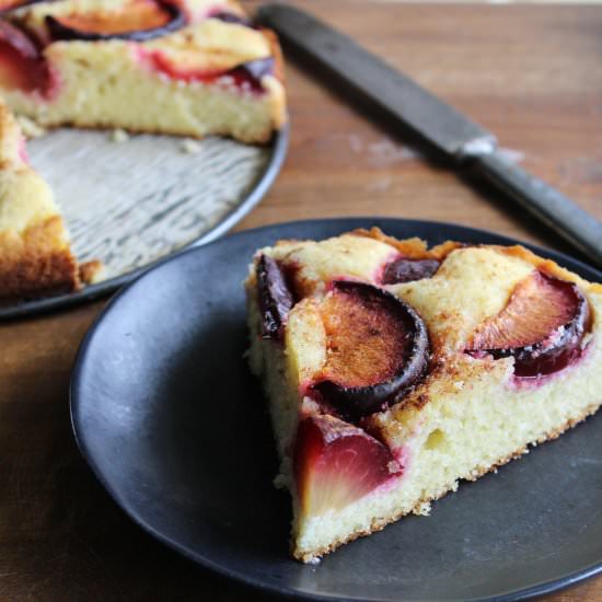 Paleo Plum Cake - Recipe photo by whatstheovenonfor