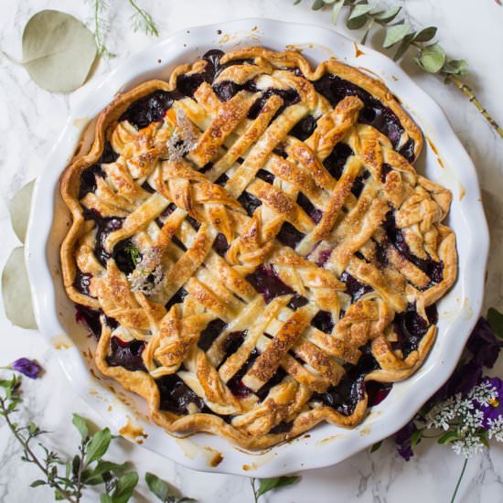 Blueberry Pie - Recipe photo by cookingwithawallflower