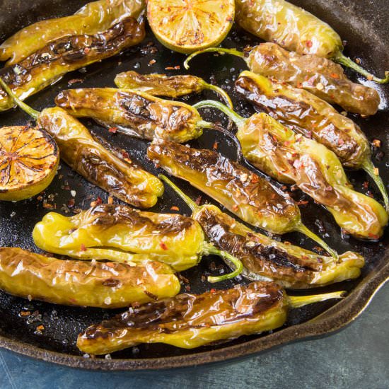 Blistered Shishito Peppers - Recipe photo by ChiliPepperMadness