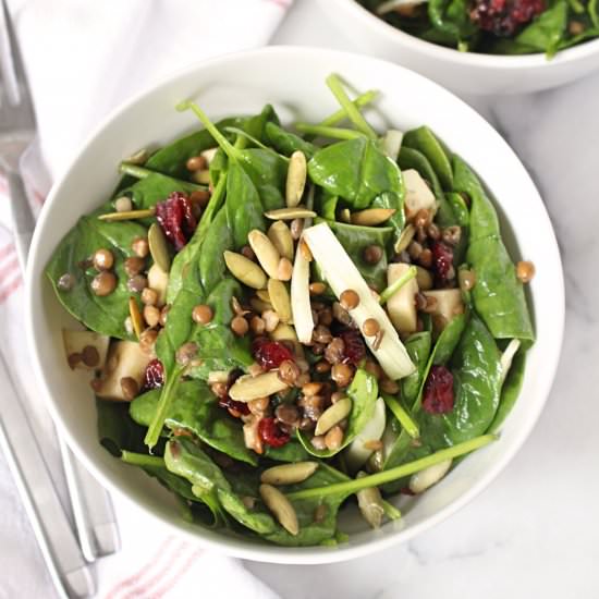 Fall Spinach & Apple Salad - Recipe photo by CitNutritionally