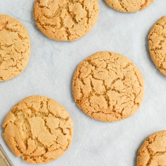 Ginger Cookies (Gingernuts) 薑餅曲奇 - Recipe photo by mrspskitchen