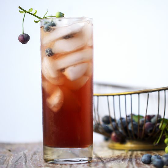 Spiked Blueberry Switchel Spritzer - Recipe photo by ONEarmedMAMA