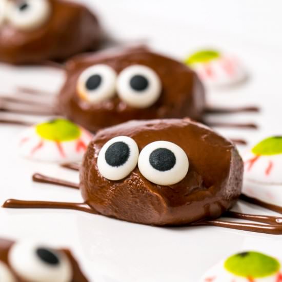 Chocolate spider protein balls - Recipe photo by thanksgiving