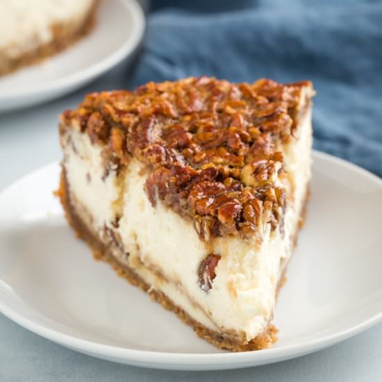 Pecan Pie Cheesecake - Recipe photo by IntrovertBaker