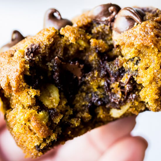 Pumpkin Chocolate Chip Muffins - Recipe photo by Delicious Little Bites