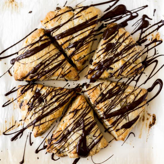 dark chocolate ginger scones - Recipe photo by withspice