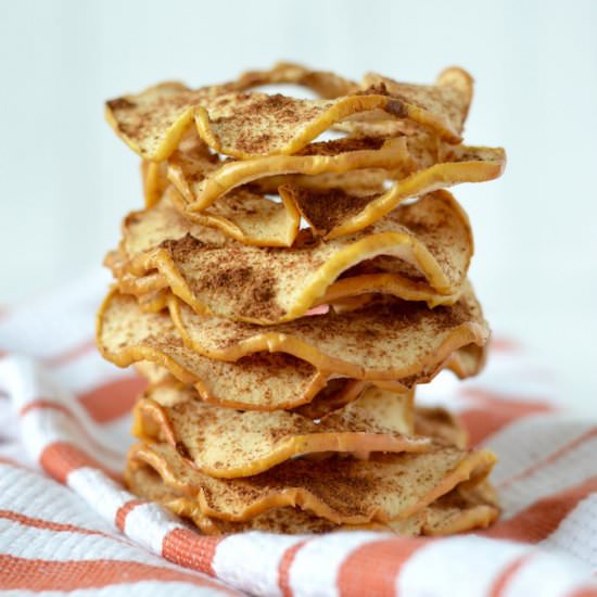 Homemade Apple Chips - Recipe photo by chiselandfork