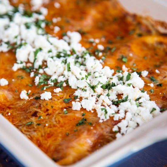 Easy Cheesy Chicken Enchiladas - Recipe photo by giftofhospitality