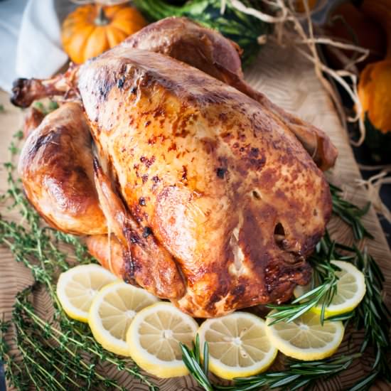 Rotisserie Thanksgiving Turkey - Recipe photo by photosandfood