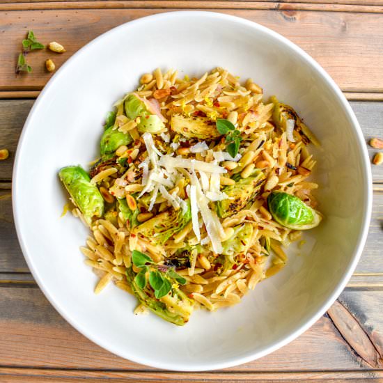 Lemon Orzo with Brussels Sprouts - Recipe photo by ibroughtbread