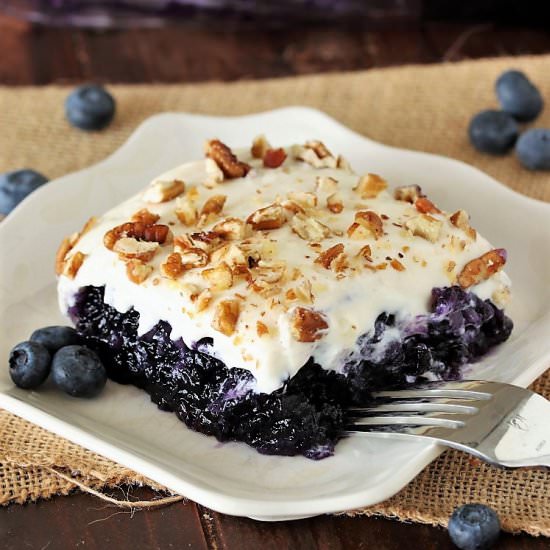 Classic Blueberry Jello Salad - Recipe photo by thekitchenismyplayground