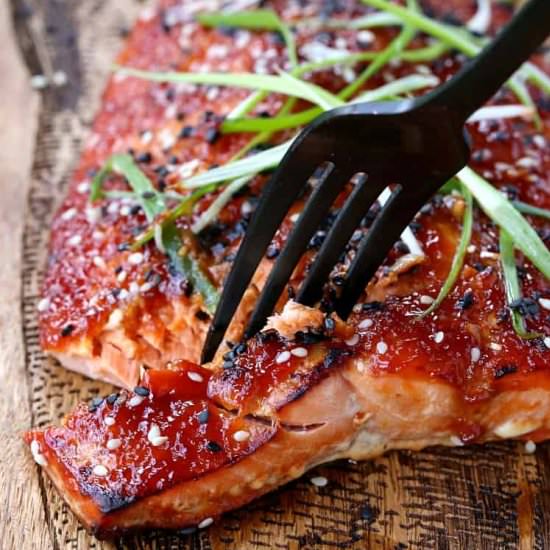 Oven Baked Asian BBQ Salmon - Recipe photo by mantitlement
