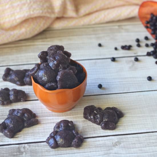Homemade Berry Gummies - Recipe photo by Fitasamamabear