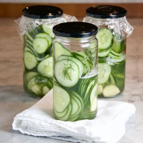 Easy Fridge Dill Pickles - Recipe photo by thebrookcook.wordpress.com