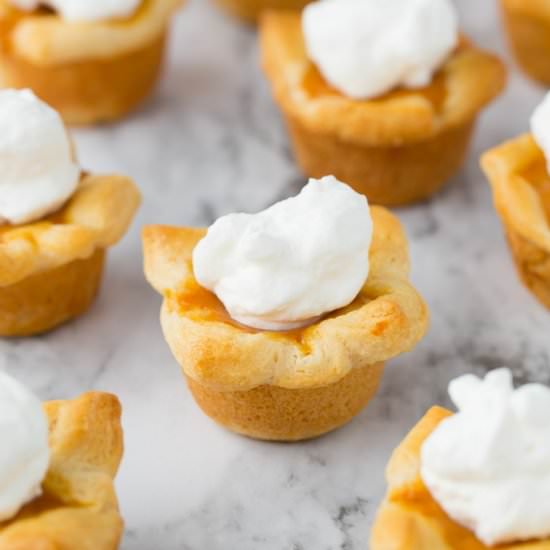 Pumpkin Pie Poppers - Recipe photo by yourcupofcake