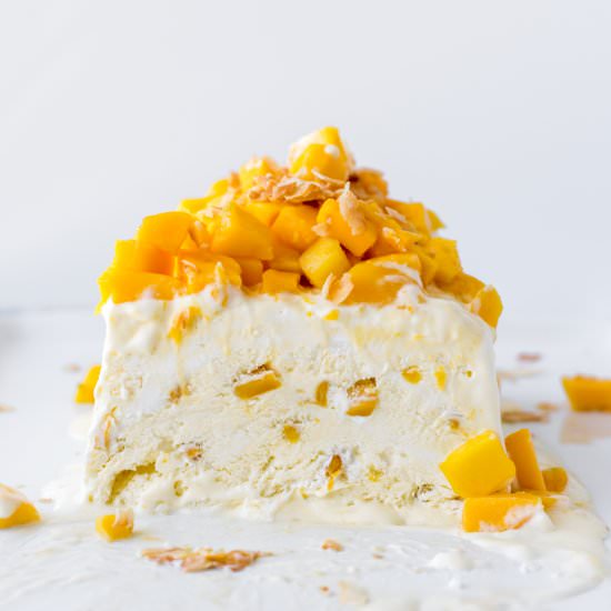 coconut mango semifreddo - Recipe photo by withspice