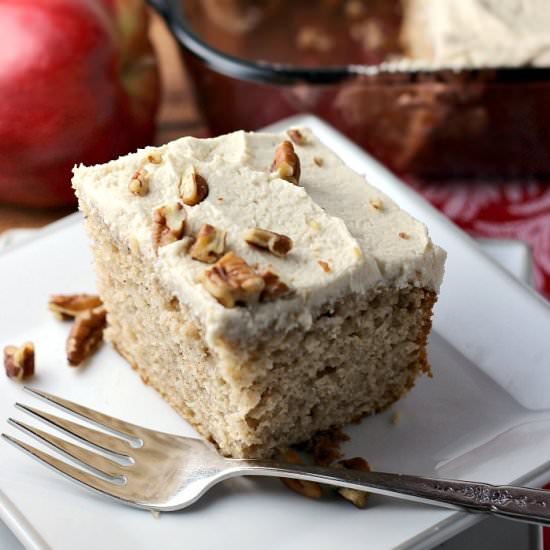 Homemade Applesauce Spice Cake - Recipe photo by ReneesKitchenAdventures
