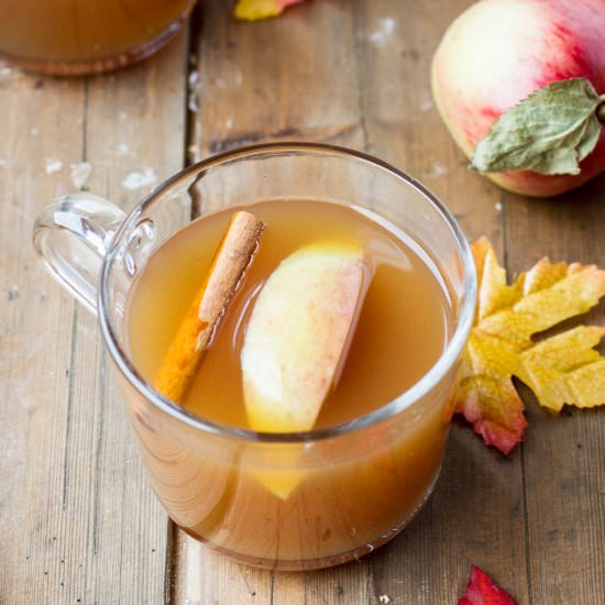 Hot Mulled Apple Cider - Recipe photo by gingerwithspice