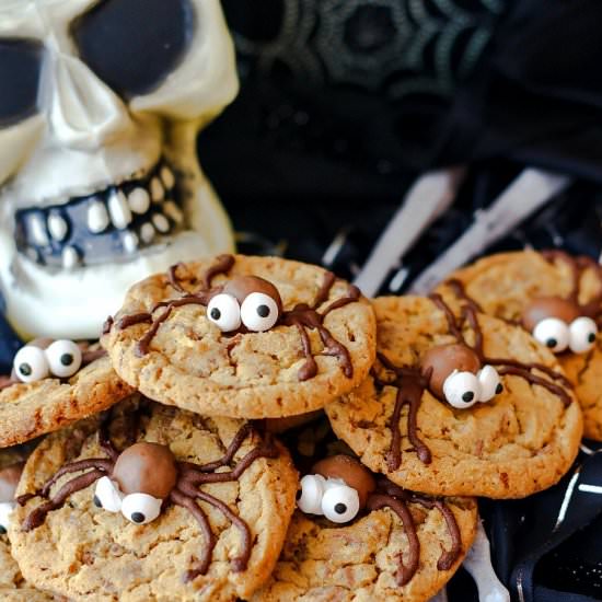 Malted Milk Ball Spider Cookies - Recipe photo by onlinepastrychef