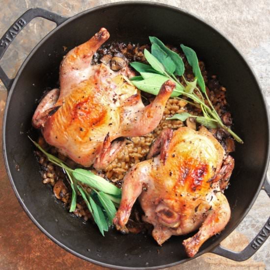 Game Hens and Mushroom-Barley Pilaf - Recipe photo by Flipped-Out Food