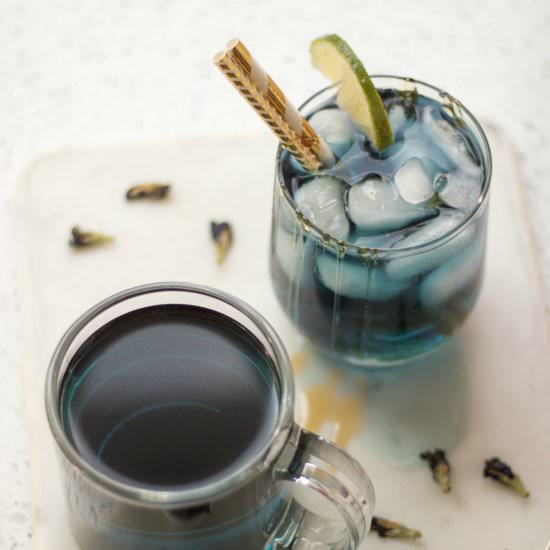 Blue Butterfly Pea Flower Tea - Recipe photo by LifesLittleSweets