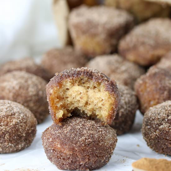 Apple Cider Donut Holes - Recipe photo by bostongirlbakes