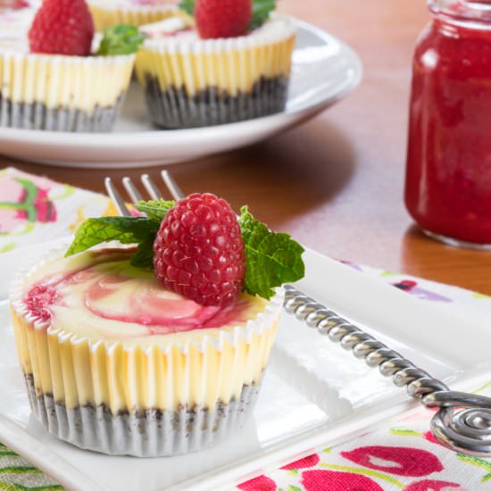 Mini Raspberry Swirl Cheesecakes - Recipe photo by For the Love of Cooking