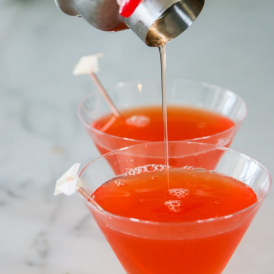 Paper Airplane Cocktail - Recipe photo by Something New For Dinner