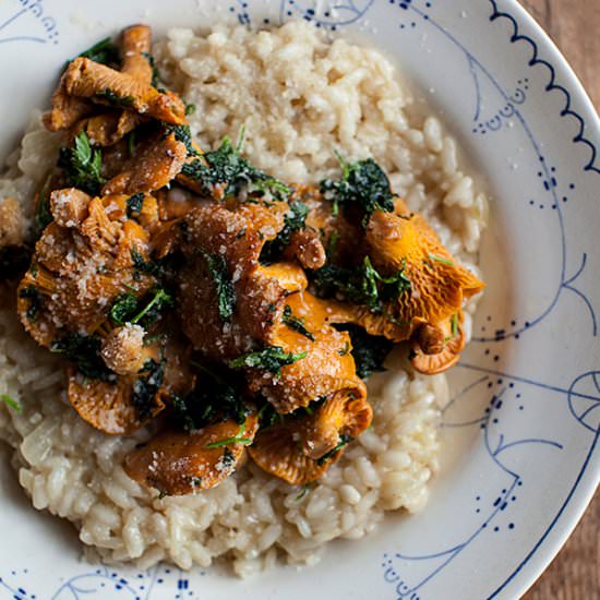 Chanterelle Risotto - Recipe photo by Nordic Provisions