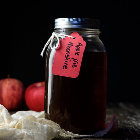DIY Apple Pie Moonshine - Recipe photo by sidewalkshoes