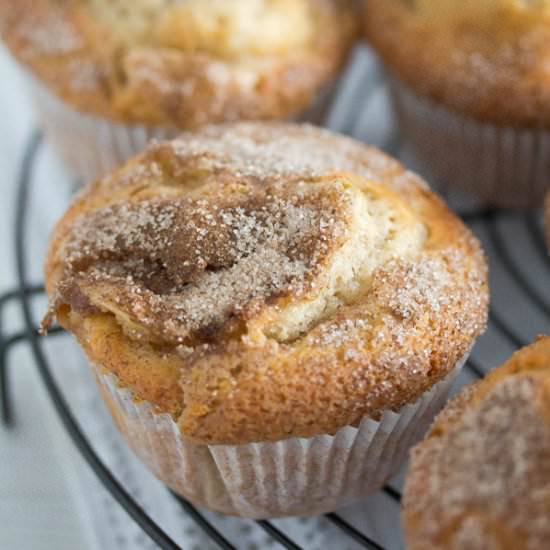 Easy Apple Cinnamon Muffin - Recipe photo by adinutza