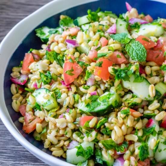 Tabbouleh Salad with Kamut Wheat - Recipe photo by Babaganosh