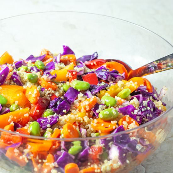 Asian Rainbow Quinoa Salad - Recipe photo by recipecritique