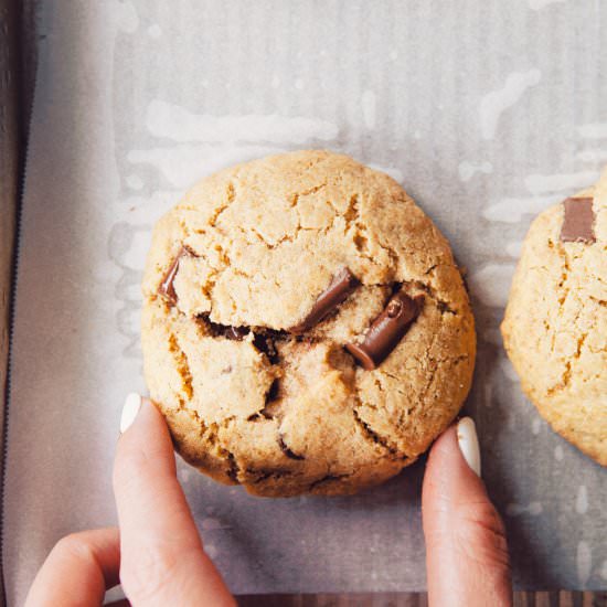 Best Paleo Chocolate Chip Cookies - Recipe photo by amazingpaleo