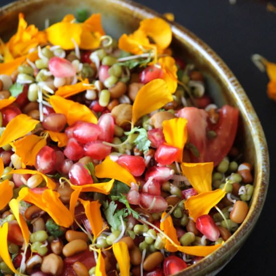Marigold and Mixed Sprouts Salad - Recipe photo by Reetu Uday Kugaji