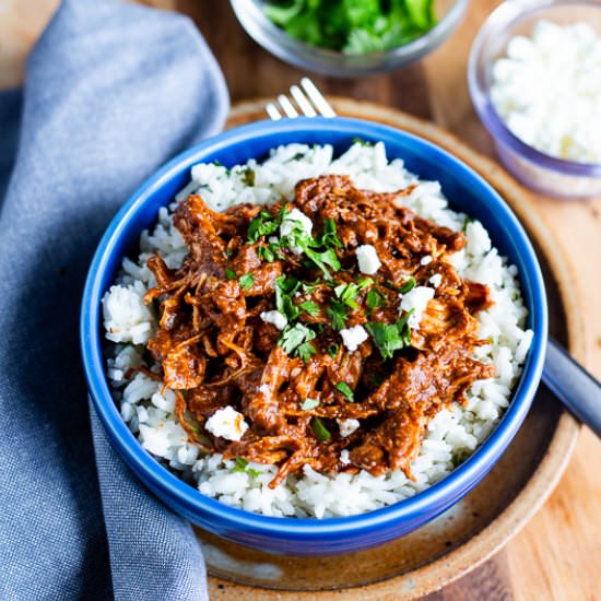 Instant Pot Chicken Mole - Recipe photo by SugarSpicesLife