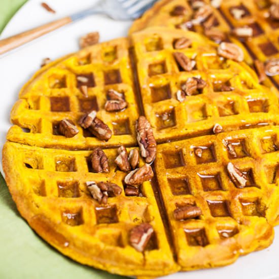 Easy Homemade Pumpkin Waffles - Recipe photo by therusticfoodie