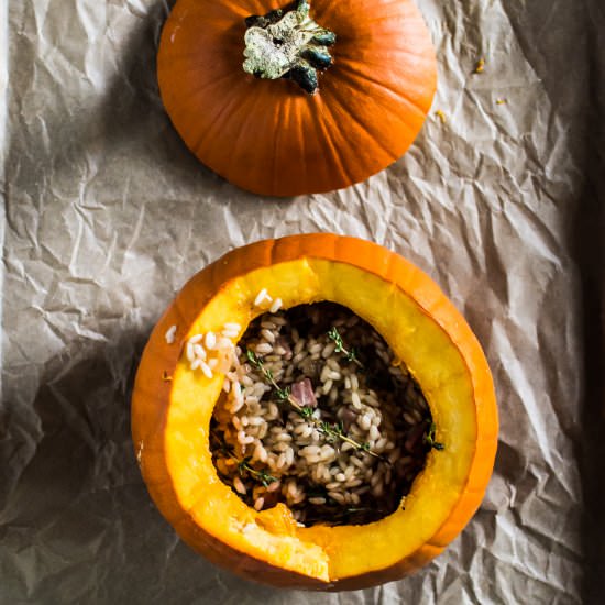 Baked Savory Rice Stuffed Pumpkin - Recipe photo by apleasantlittlekitchen